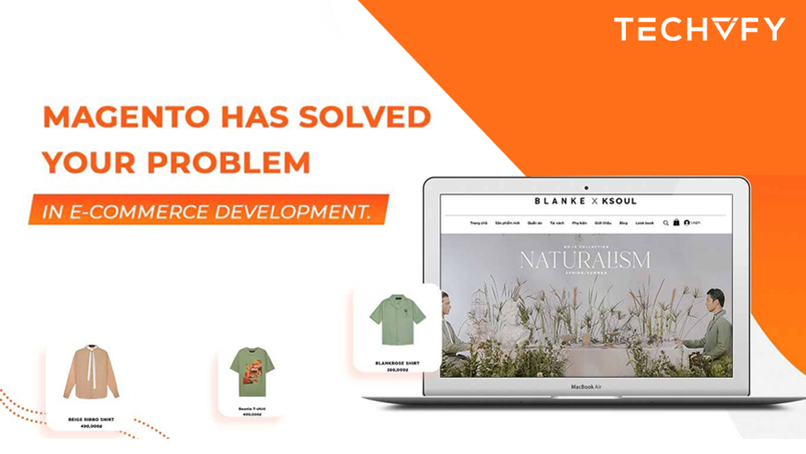 magento development