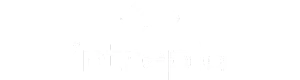 Techvify Client Partner 2025 9